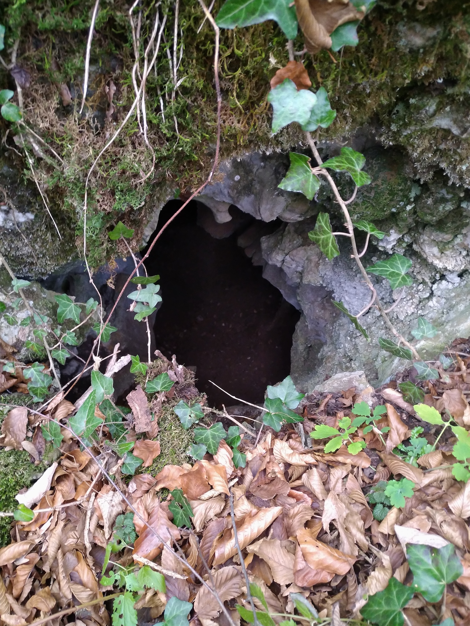 Peștera cu 4 Porți - Image 5